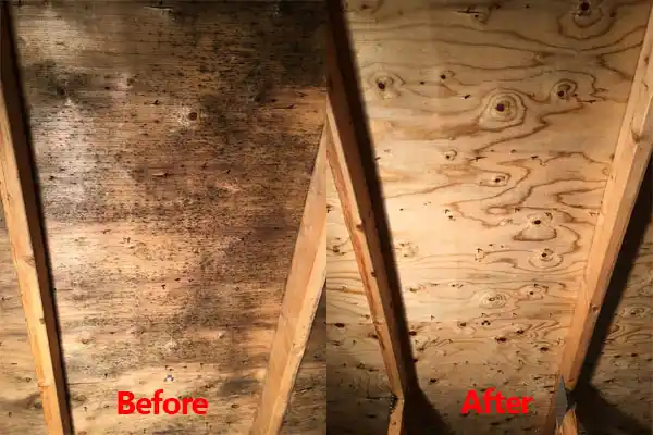 water damage restoration service Armada